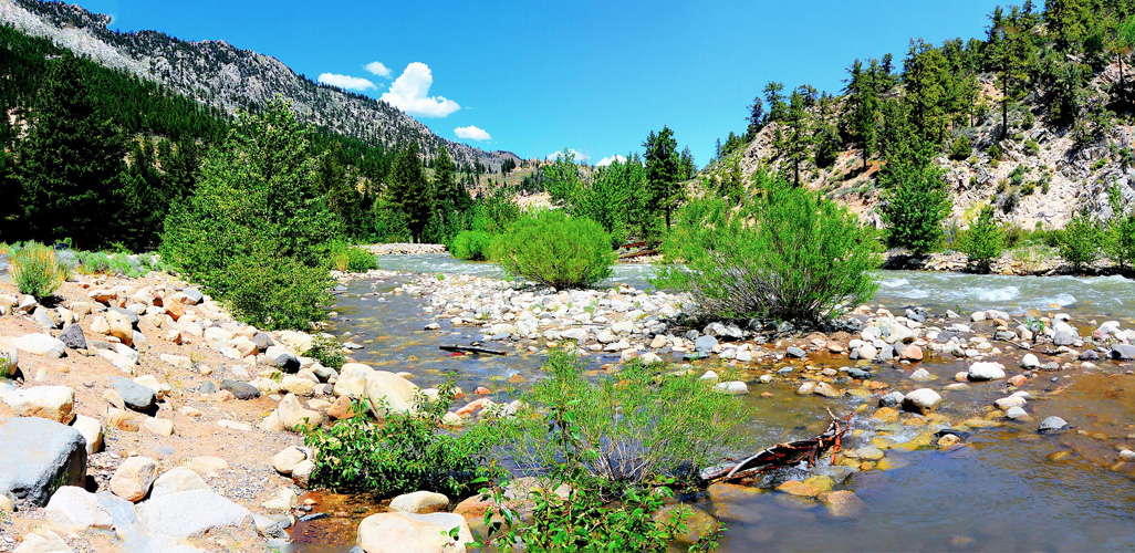 walker river